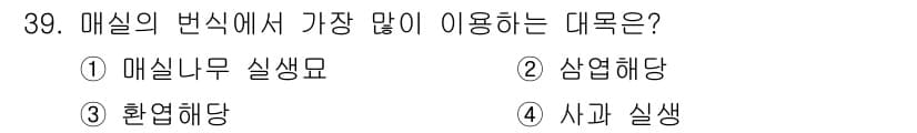 원예기능사 2015년 39번 - 정답과 핵심 포인트를 검수 중인 기출문제
