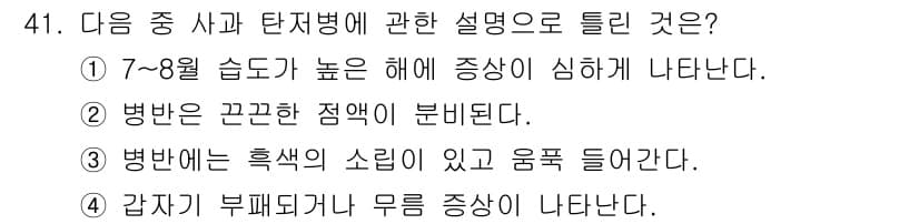 원예기능사 2015년 41번 - 정답과 핵심 포인트를 검수 중인 기출문제