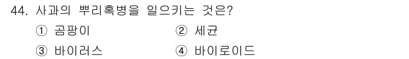 원예기능사 2015년 44번 - 정답과 핵심 포인트를 검수 중인 기출문제