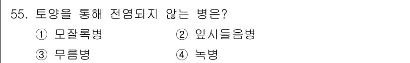 원예기능사 2015년 55번 - 정답과 핵심 포인트를 검수 중인 기출문제