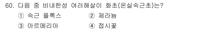 원예기능사 2015년 60번 - 정답은 2. 제라늄입니다. 제라늄은 비내한성 식물로, 온실에서 재배될 때... 에 관한 핵심 기출문제