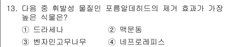 화훼장식기사 2016년 13번 - 정답과 핵심 포인트를 검수 중인 기출문제