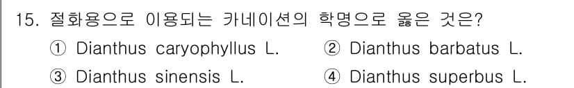 화훼장식기사 2016년 15번 - 정답과 핵심 포인트를 검수 중인 기출문제