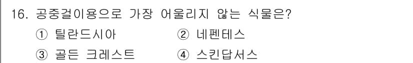화훼장식기사 2016년 16번 - 정답과 핵심 포인트를 검수 중인 기출문제