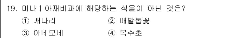 화훼장식기사 2016년 19번 - 정답과 핵심 포인트를 검수 중인 기출문제