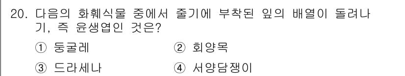 화훼장식기사 2016년 20번 - 정답과 핵심 포인트를 검수 중인 기출문제
