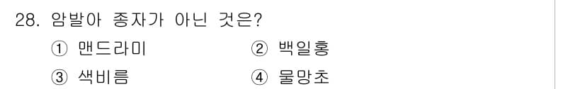 화훼장식기사 2016년 28번 - 정답과 핵심 포인트를 검수 중인 기출문제
