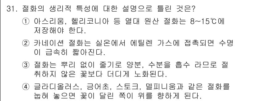 화훼장식기사 2016년 31번 - 정답과 핵심 포인트를 검수 중인 기출문제
