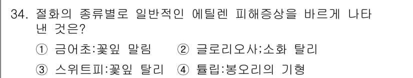 화훼장식기사 2016년 34번 - 정답과 핵심 포인트를 검수 중인 기출문제