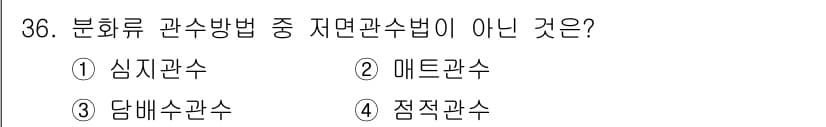 화훼장식기사 2016년 36번 - 정답과 핵심 포인트를 검수 중인 기출문제