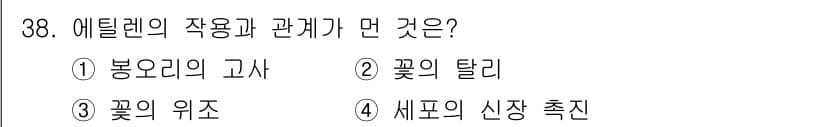 화훼장식기사 2016년 38번 - 정답과 핵심 포인트를 검수 중인 기출문제