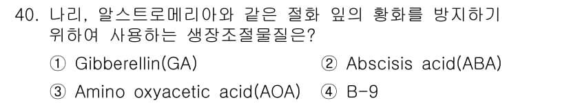 화훼장식기사 2016년 40번 - 정답과 핵심 포인트를 검수 중인 기출문제