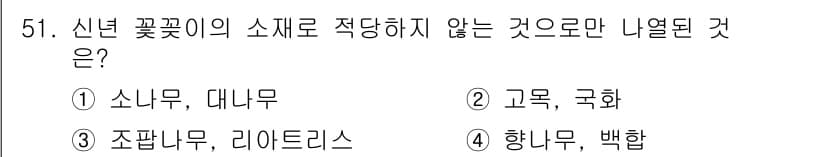 화훼장식기사 2016년 51번 - 신년 꽃꽂이에서 일반적으로 사용되지 않는 소재는 3번 "조팝나무, 리아투... 에 관한 핵심 기출문제