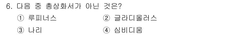 화훼장식기사 2016년 6번 - 정답과 핵심 포인트를 검수 중인 기출문제