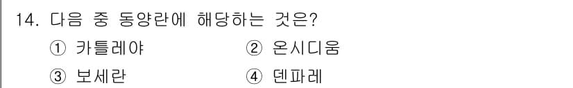 화훼장식기사 2017년 14번 - 정답과 핵심 포인트를 검수 중인 기출문제