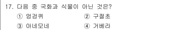 화훼장식기사 2017년 17번 - 정답은 3. 아네모네입니다. 앵커키, 구절초, 카베라는 모두 국화과에 속... 에 관한 핵심 기출문제