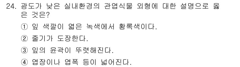 화훼장식기사 2017년 24번 - 정답과 핵심 포인트를 검수 중인 기출문제