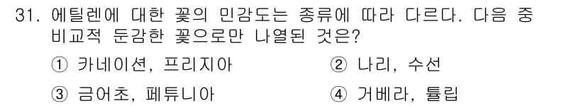 화훼장식기사 2017년 31번 - 정답과 핵심 포인트를 검수 중인 기출문제