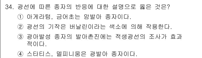 화훼장식기사 2017년 34번 - 정답과 핵심 포인트를 검수 중인 기출문제
