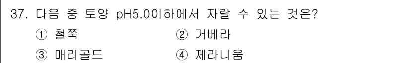 화훼장식기사 2017년 37번 - 정답과 핵심 포인트를 검수 중인 기출문제