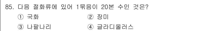 화훼장식기사 2017년 85번 - 정답과 핵심 포인트를 검수 중인 기출문제