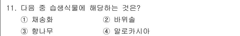 화훼장식기사 2018년 11번 - 정답과 핵심 포인트를 검수 중인 기출문제