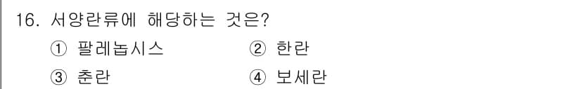 화훼장식기사 2018년 16번 - 정답과 핵심 포인트를 검수 중인 기출문제