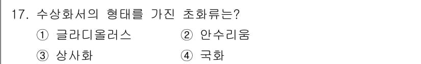 화훼장식기사 2018년 17번 - 정답과 핵심 포인트를 검수 중인 기출문제