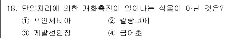 화훼장식기사 2018년 18번 - . 금어초

금어초는 단일처리와 관련된 개화촉진 조건에서 일반적으로 사용... 에 관한 핵심 기출문제