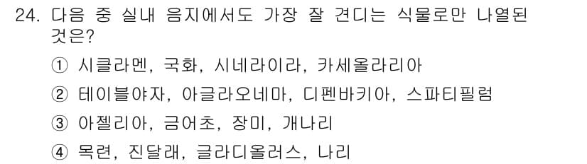 화훼장식기사 2018년 24번 - 정답과 핵심 포인트를 검수 중인 기출문제