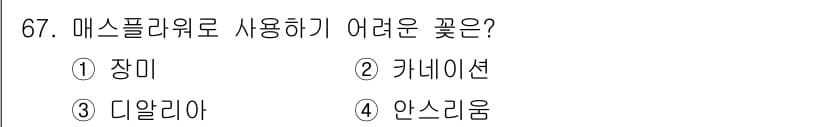 화훼장식기사 2018년 67번 - 정답과 핵심 포인트를 검수 중인 기출문제