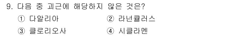 화훼장식기사 2018년 9번 - . 시클라멘

시클라멘(Cyclamen)은 주로 실내에서 자생하는 구근식... 에 관한 핵심 기출문제