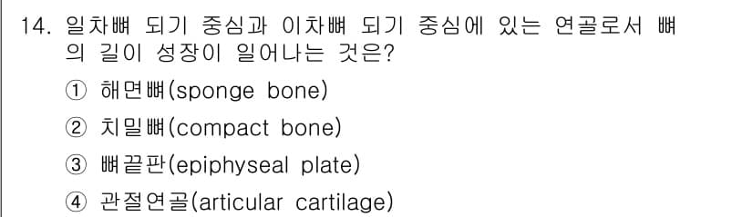 의공산업기사 2019년 14번 - 정답과 핵심 포인트를 검수 중인 기출문제