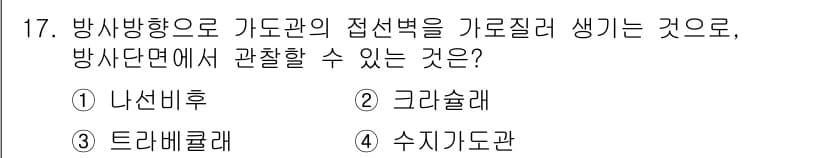 임산가공기능사 2015년 17번 - 정답과 핵심 포인트를 검수 중인 기출문제