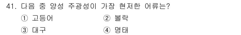 어로산업기사 2016년 41번 - 정답과 핵심 포인트를 검수 중인 기출문제