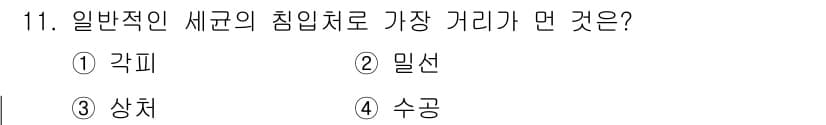 식물보호산업기사 2019년 11번 - 정답과 핵심 포인트를 검수 중인 기출문제