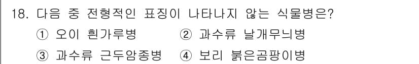 식물보호산업기사 2019년 18번 - . 과수류 근단종병은 식물의 근부에 발생하는 병이며, 전형적인 증상이 아... 에 관한 핵심 기출문제