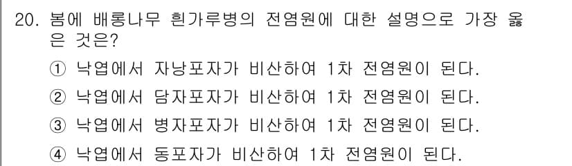 식물보호산업기사 2019년 20번 - 정답과 핵심 포인트를 검수 중인 기출문제