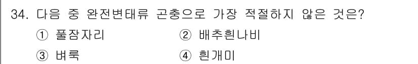 식물보호산업기사 2019년 34번 - 정답과 핵심 포인트를 검수 중인 기출문제