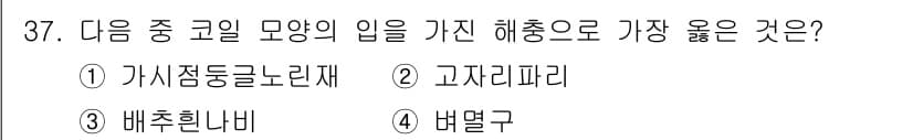 식물보호산업기사 2019년 37번 - 정답과 핵심 포인트를 검수 중인 기출문제