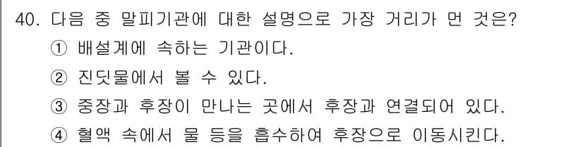 식물보호산업기사 2019년 40번 - 정답과 핵심 포인트를 검수 중인 기출문제