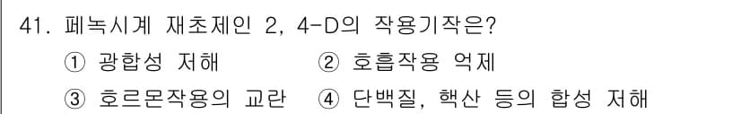 식물보호산업기사 2019년 41번 - 정답과 핵심 포인트를 검수 중인 기출문제