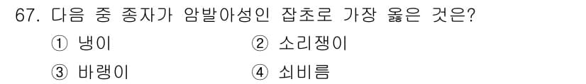 식물보호산업기사 2019년 67번 - 정답과 핵심 포인트를 검수 중인 기출문제
