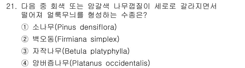 조경산업기사 2019년 21번 - 정답과 핵심 포인트를 검수 중인 기출문제