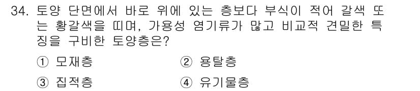 조경산업기사 2019년 34번 - 정답과 핵심 포인트를 검수 중인 기출문제