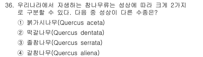 조경산업기사 2019년 36번 - 정답과 핵심 포인트를 검수 중인 기출문제