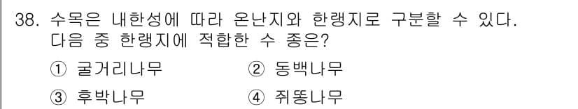 조경산업기사 2019년 38번 - 정답과 핵심 포인트를 검수 중인 기출문제