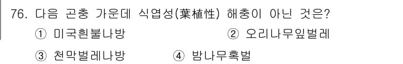조경산업기사 2019년 77번 - 정답과 핵심 포인트를 검수 중인 기출문제