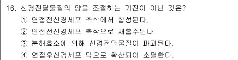 의공기사 2019년 16번 - 신경전달물질의 양을 조절하는 기전 중 "분해효소에 의해 신경전달물질이 파... 에 관한 핵심 기출문제