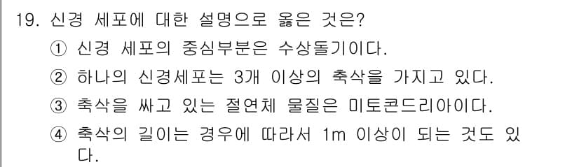 의공기사 2019년 19번 - 정답과 핵심 포인트를 검수 중인 기출문제